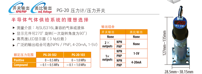 PG-20壓力計(jì)/壓力開關(guān)